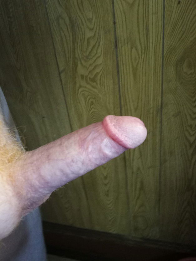 Photo by BIFUN72 with the username @BIFUN72,  December 18, 2019 at 1:16 AM. The post is about the topic My cock pic