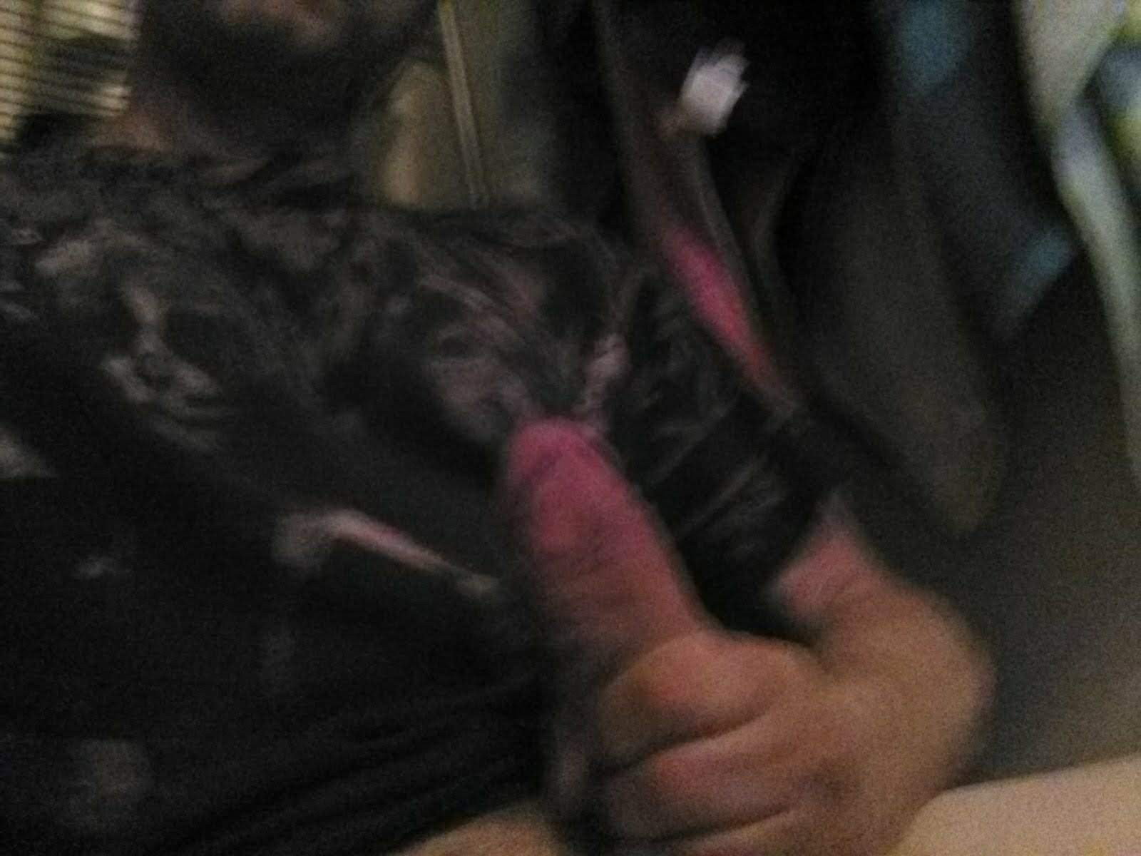 Photo by Jason Hiner with the username @mrjmetalhead,  October 12, 2019 at 7:44 AM. The post is about the topic Sex Addiction and the text says 'Eugene OR couple looking for female.....wife wants to fist your pussy while we all eat each other's cum'