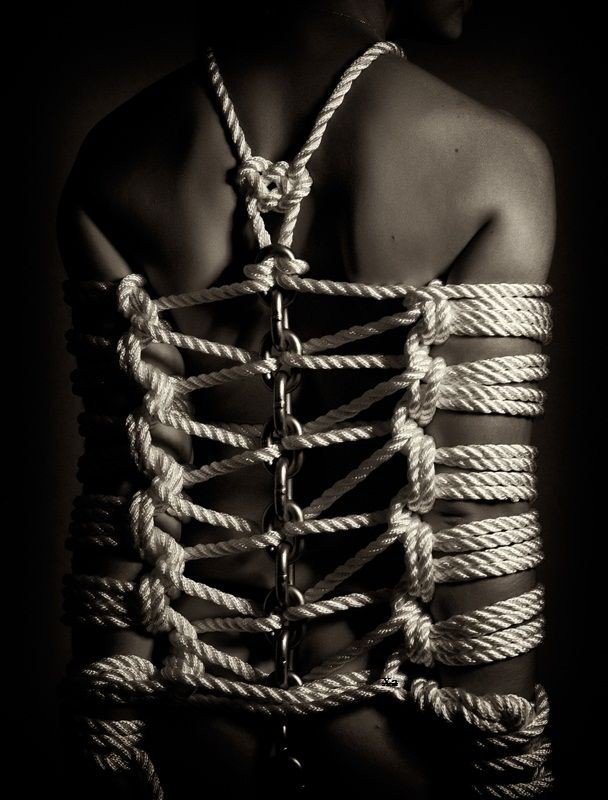 Photo by contactpixelmod with the username @contactpixelmod,  July 15, 2021 at 5:03 PM. The post is about the topic BDSM ART and FANTASY and the text says 'SHIBARI PLEASURE
#bdsm #shibari #bondage'