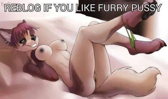 Photo by fwoofyhusky69 with the username @fwoofyhusky69,  April 17, 2020 at 8:44 AM. The post is about the topic Furry and the text says 'Love my Furs'