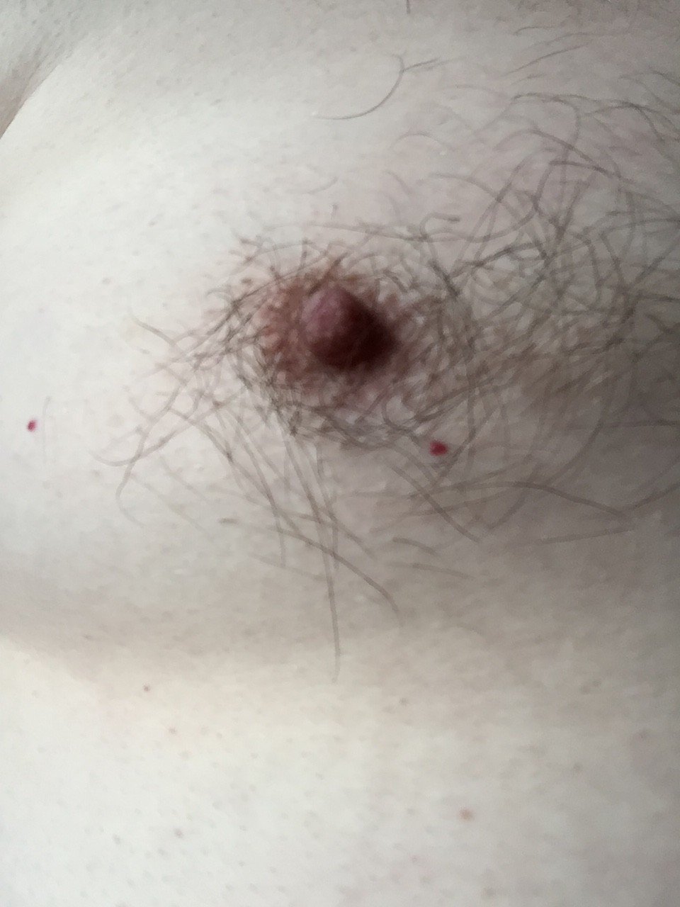 Photo by MrAlSouth with the username @MrAlSouth, who is a star user,  November 6, 2019 at 8:41 AM. The post is about the topic Hairy Man Nips. and the text says '#ManNips'