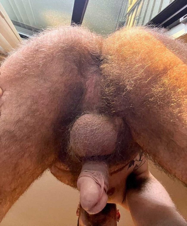 Photo by Dickpower with the username @Dickpower,  April 25, 2024 at 2:17 PM. The post is about the topic Hairy butt