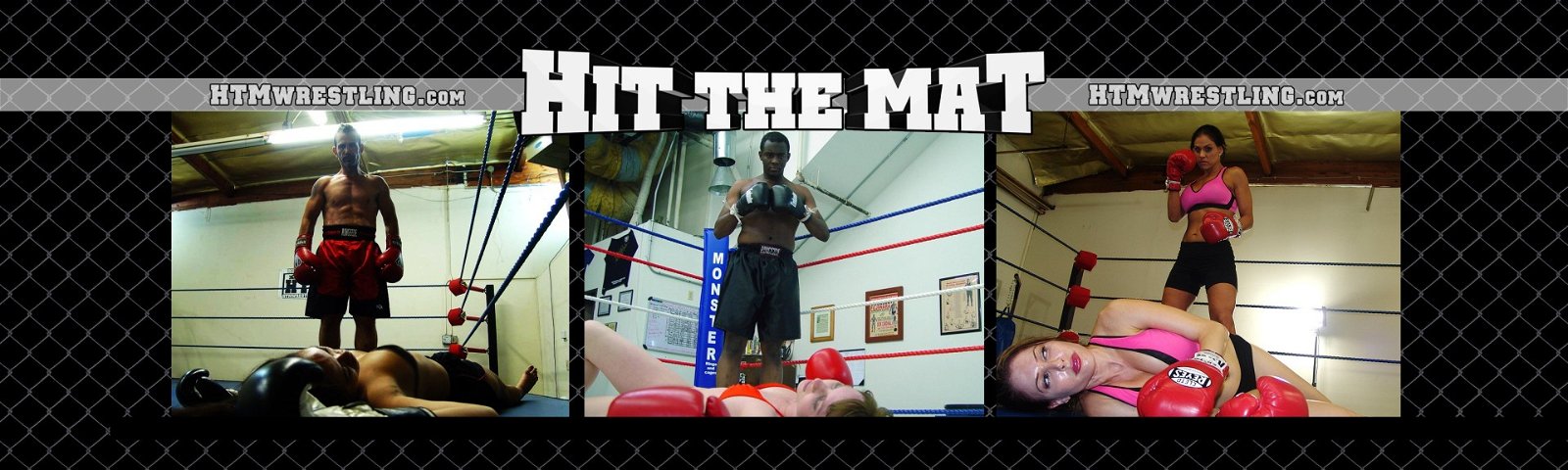 Cover photo of HTMFights
