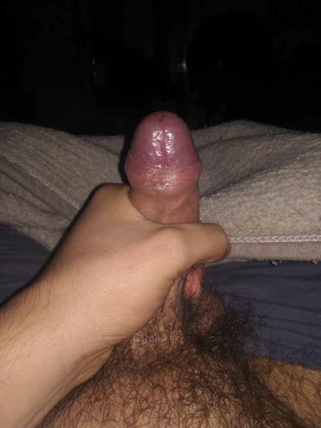 Album by PornLife with the username @pornlife994, who is a verified user,  February 14, 2021 at 12:43 AM and the text says 'Someone interested to suck me tonight? Im so fucking horny at the moment 💦💦#me #myself #dick #cock #penis #uncut #foreskin #tiny #small #hairy #album'