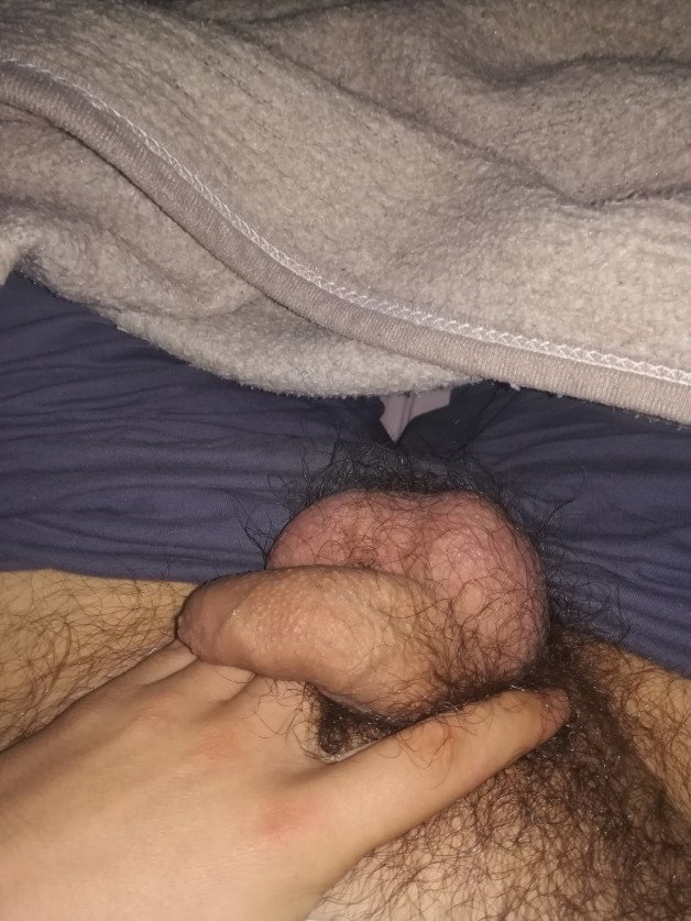 Album by PornLife with the username @pornlife994, who is a verified user,  February 14, 2021 at 12:43 AM and the text says 'Someone interested to suck me tonight? Im so fucking horny at the moment 💦💦#me #myself #dick #cock #penis #uncut #foreskin #tiny #small #hairy #album'