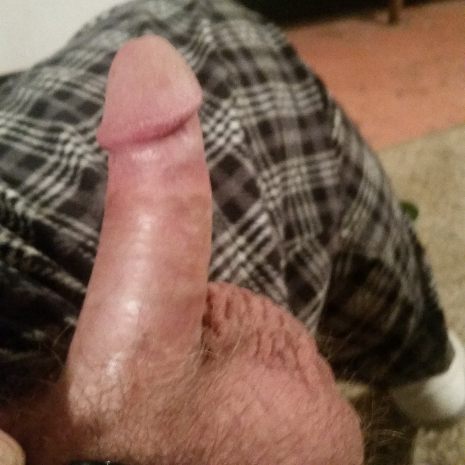 Photo by whiteyford6969 with the username @whiteyford6969, who is a verified user,  April 3, 2019 at 5:27 AM. The post is about the topic Small Cocks and the text says 'Been edging to @NaughtyMommy for hours!'