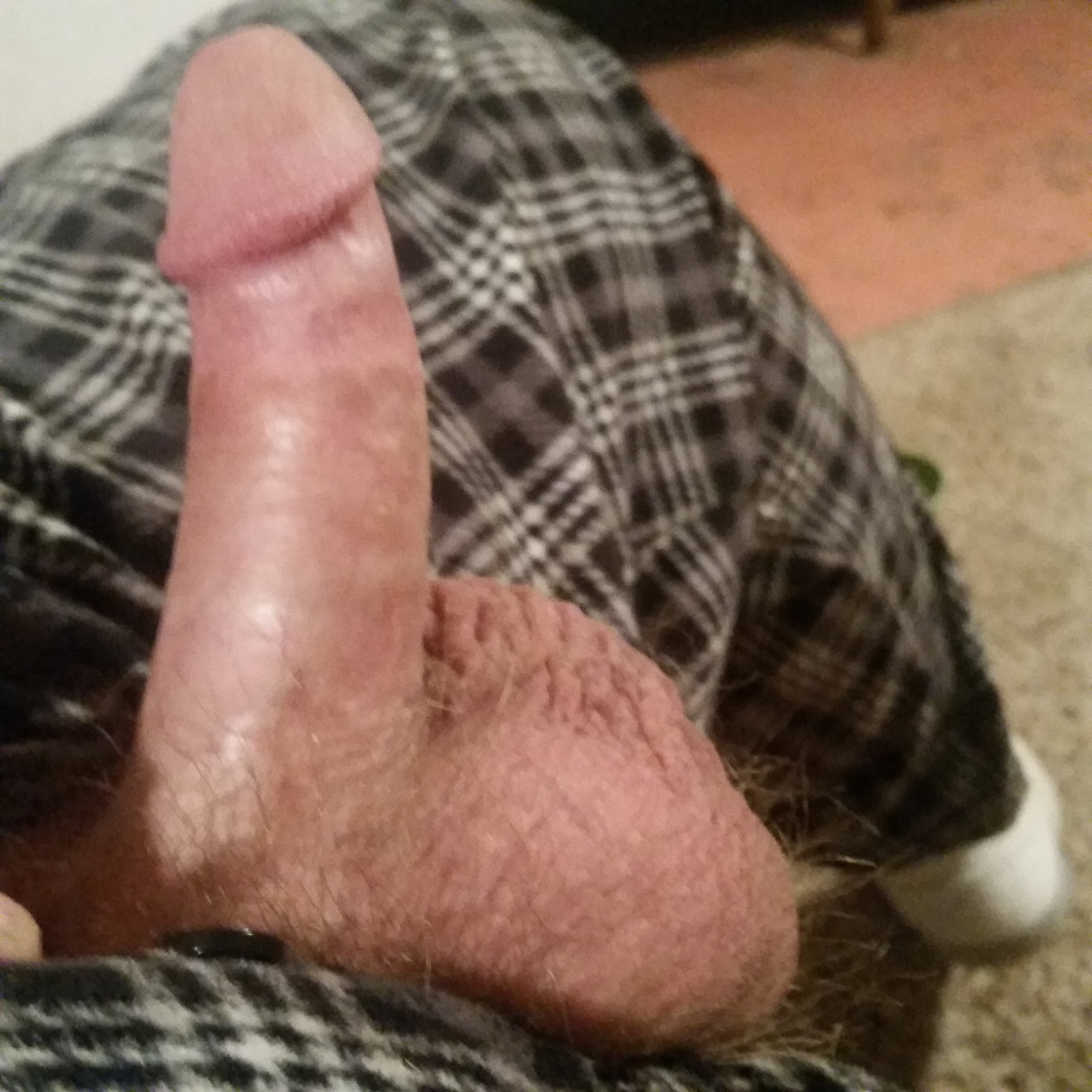 Photo by whiteyford6969 with the username @whiteyford6969, who is a verified user,  April 3, 2019 at 5:27 AM. The post is about the topic Small Cocks and the text says 'Been edging to @NaughtyMommy for hours!'