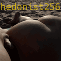 hedonist256