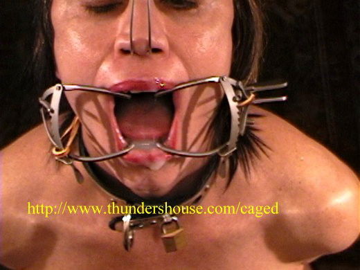 Album by DungeonToyMaker with the username @DungeonToyMaker, who is a verified user,  April 17, 2020 at 6:44 PM. The post is about the topic Bound and Gagged and the text says 'Cumming in a dental-gagged mouth'