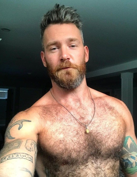 Photo by alldad. with the username @alldad, who is a verified user,  January 25, 2020 at 7:18 PM and the text says '#dad #daddy #mature #man #dilf #coach #gay #alldad #beard #mustache'