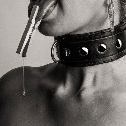 Shared Photo by MarkMess with the username @MarkMess,  December 14, 2021 at 3:32 AM. The post is about the topic Camgirl Advice and the text says 'Putting that clamp on the tongue will hurt a bit, but it will also make drool flow down for humiliation and for getting the pussy wet'