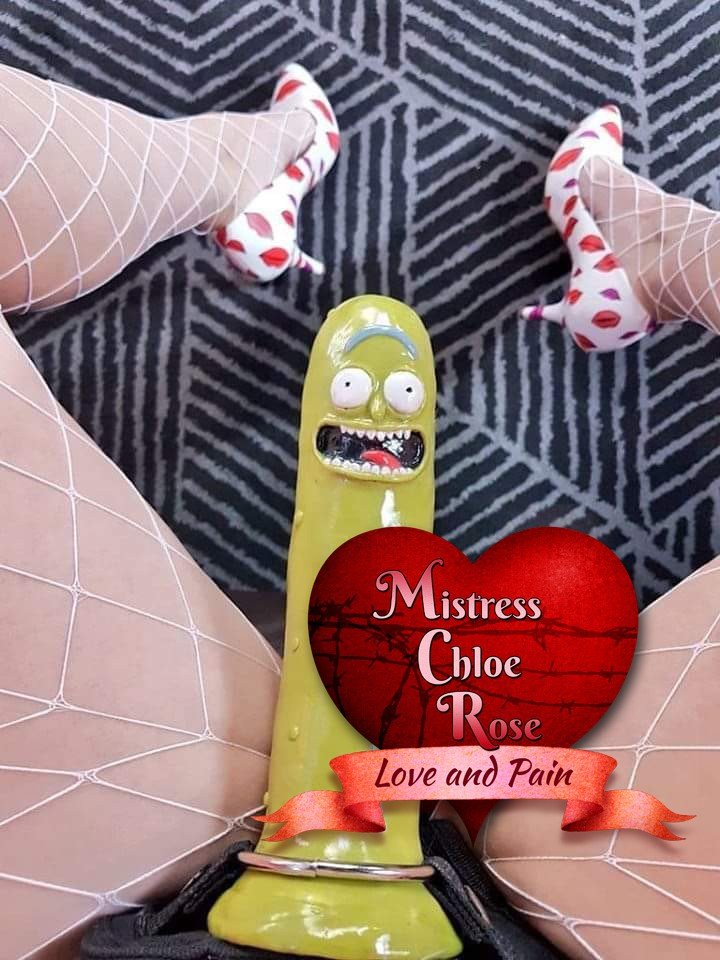Photo by Miss Chloe Rose with the username @mistress1chloe, who is a star user,  December 18, 2019 at 5:48 PM. The post is about the topic Funny Kink and the text says 'pickle rick dick. an asshole for your asshole...'