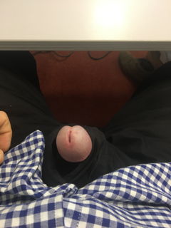 Photo by CockPig with the username @CockPig,  October 16, 2020 at 5:17 AM. The post is about the topic Rate my pussy or dick and the text says 'Bored at work'