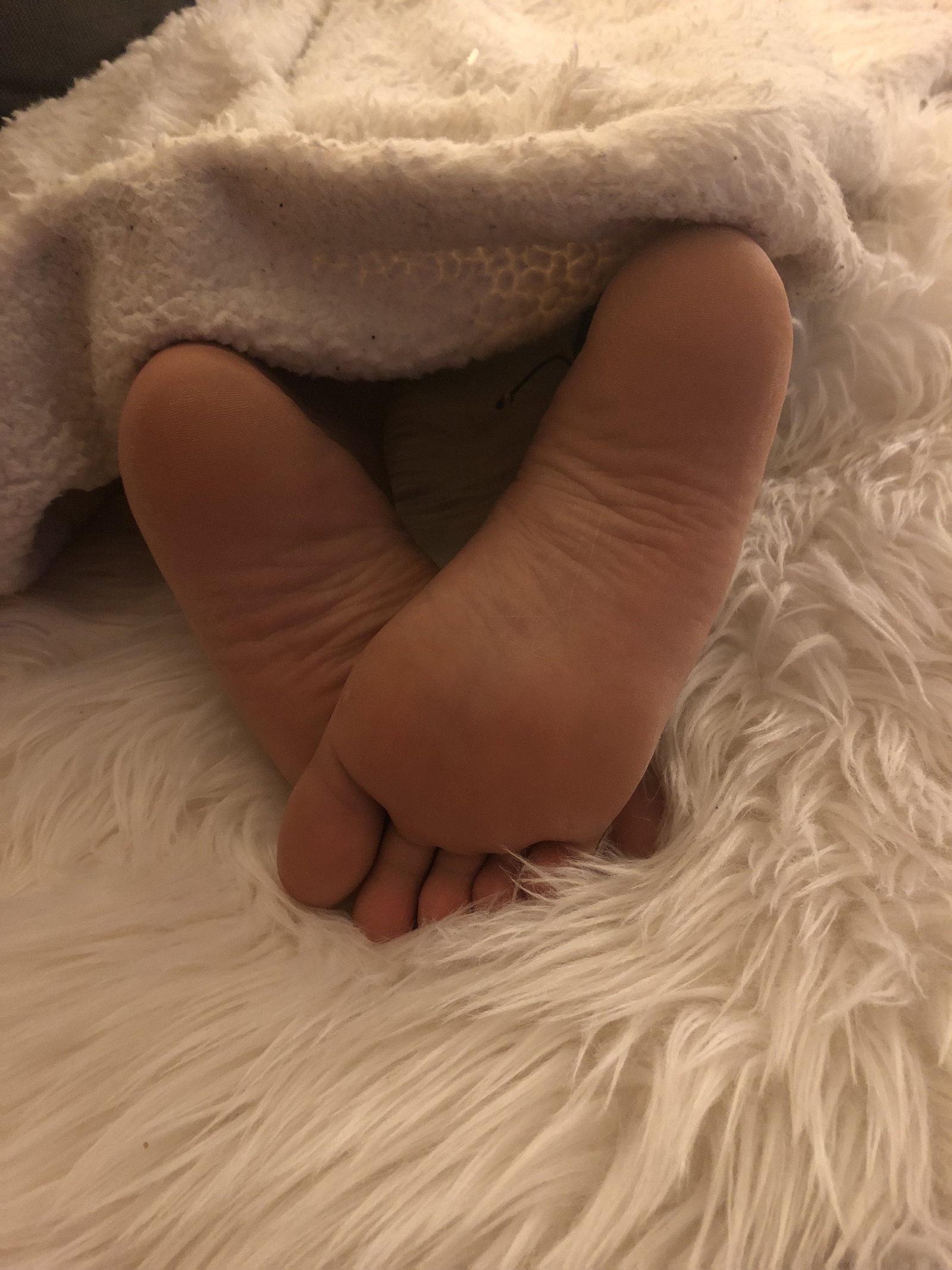 Photo by Nilegoddess with the username @Nilegoddess, who is a star user,  December 6, 2017 at 6:35 PM and the text says 'Napping #Feet  #sleeping  #sexy  #teen  #toes  #soles  #legs  #fetish  #young  #teenfeet  #18  #yo  #virgin  #girl'