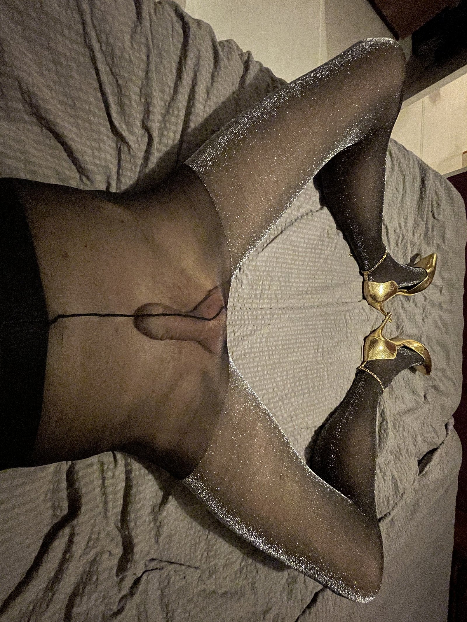 Photo by Paboy360 with the username @Paboy360,  March 12, 2024 at 4:40 PM. The post is about the topic Cock in Pantyhose and the text says 'My cock in gliitering pantyhose and my new golden heels'