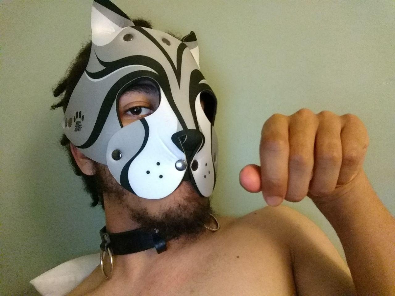 Photo by CatHobgoblin with the username @CatHobgoblin,  January 6, 2020 at 12:00 PM. The post is about the topic Masks and the text says 'A pic of myself from back in 2017. Mow'