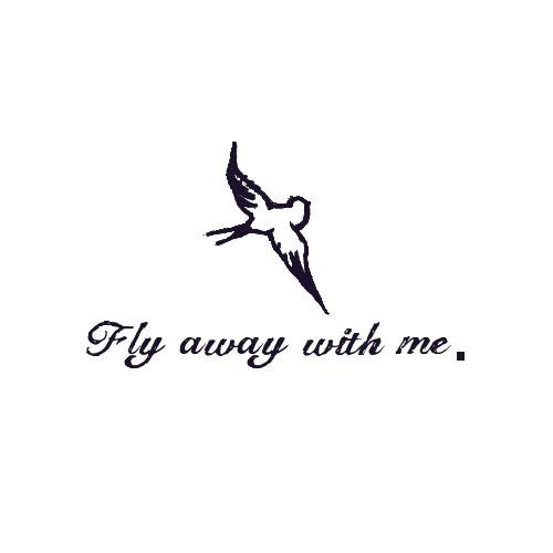 Watch the Photo by MaxvJ with the username @MaxvJ, posted on July 23, 2013 and the text says '#fly  #love  #teen  #dream'