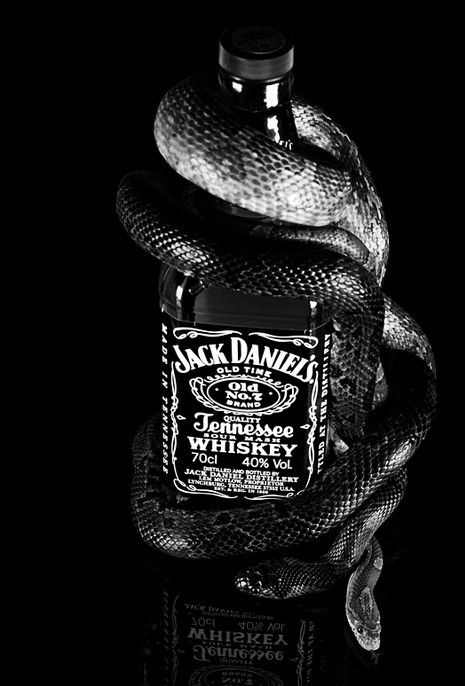 Photo by MaxvJ with the username @MaxvJ,  June 1, 2016 at 4:53 AM and the text says '#jack  #daniels  #snake  #Tennesse  #whiskey  #nr.7  #Black  #and  #White  #bottle  #love  #dream  #jacky'