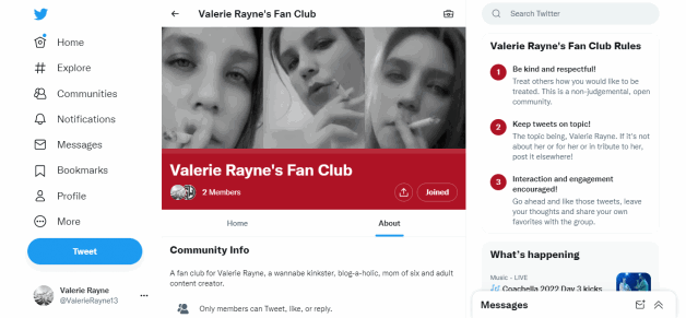 Photo by ValerieRayne with the username @ValerieRayne, who is a star user,  April 18, 2022 at 4:03 AM and the text says 'I want you to check out my new #Twitter community and let me know what you think of it: https://twitter.com/i/communities/1512328806626824199'