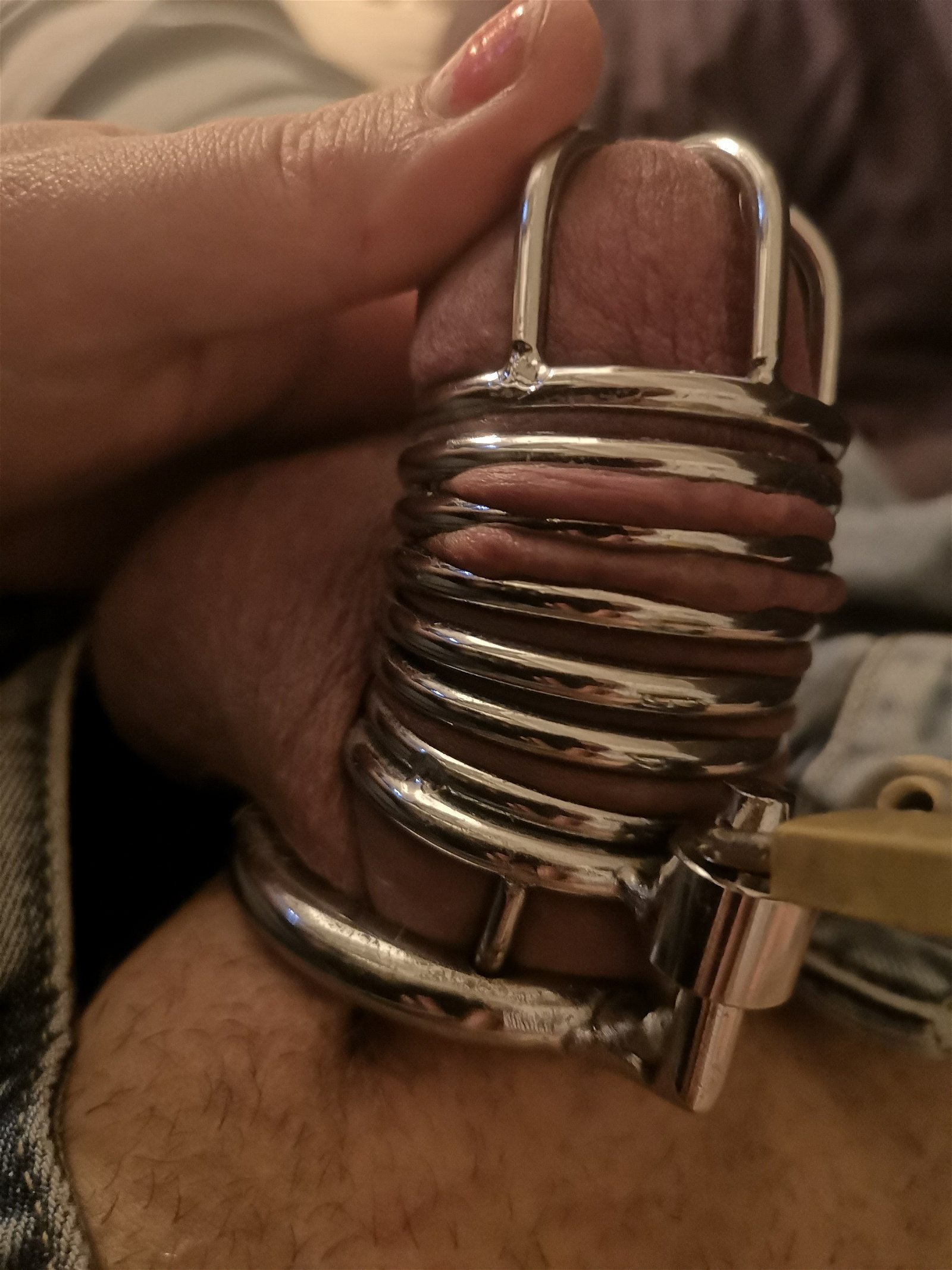 Photo by Dreamcream626 with the username @Dreamcream626, who is a star user,  March 14, 2020 at 12:16 AM. The post is about the topic Cuckold Chastity and the text says 'Hey Dreamiz just posted a new Free video come watch it is time to tease my slave until he almost blow out of his steel cage!

Video-->www.manyvids.com/Video/1791954/cuckold-chastity-tease/

And thank you so much for the love and support you give me it..'