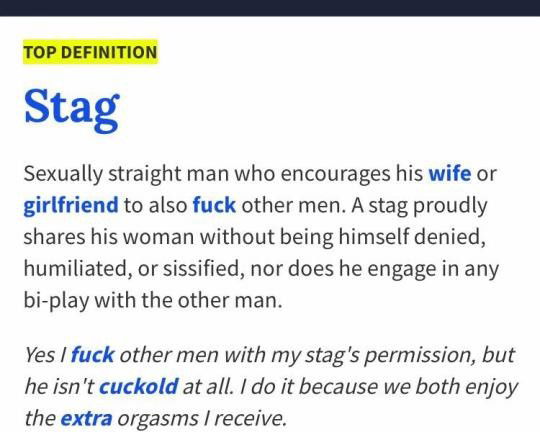 Photo by StagAndVixen with the username @StagAndVixen,  December 5, 2018 at 7:35 PM. The post is about the topic Stag and Vixen and the text says 'Very true depiction for both the Stag and the Vixen, from an Urban Dictionary user.

#StagandVixen #Hotwife #NotCuckold'