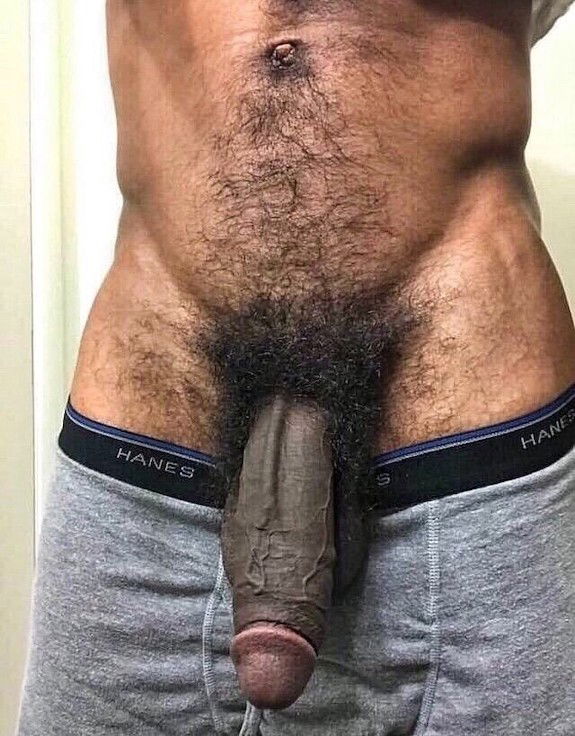 Photo by aussiemate with the username @aussiemate,  March 24, 2020 at 1:14 AM. The post is about the topic Gay Hairy Men