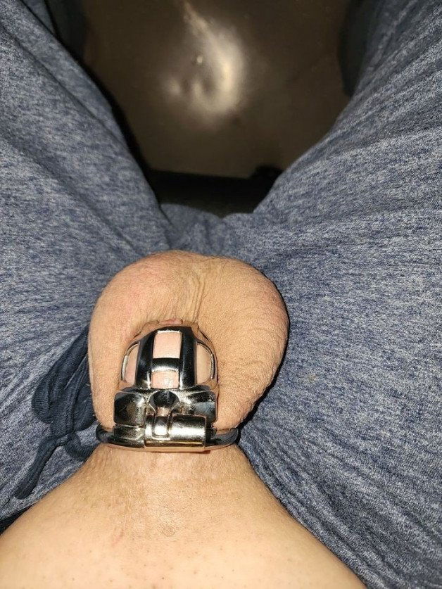 Photo by smlldckbnd with the username @smlldckbnd,  December 19, 2023 at 12:22 PM. The post is about the topic Chastity and the text says 'denial December 19
#chastity #amateur_chastity #male_chastity #needsakeyholder'