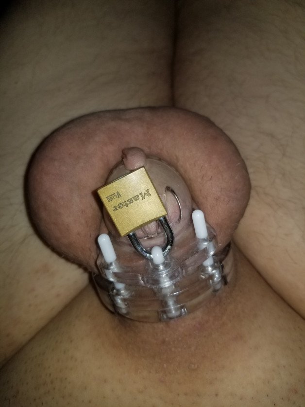 Photo by smlldckbnd with the username @smlldckbnd,  January 10, 2022 at 12:32 PM. The post is about the topic Locked and the text says 'locked up since 2-jan-22. 8 days and counting.
#me 
#chastity 
#needakeyholder'