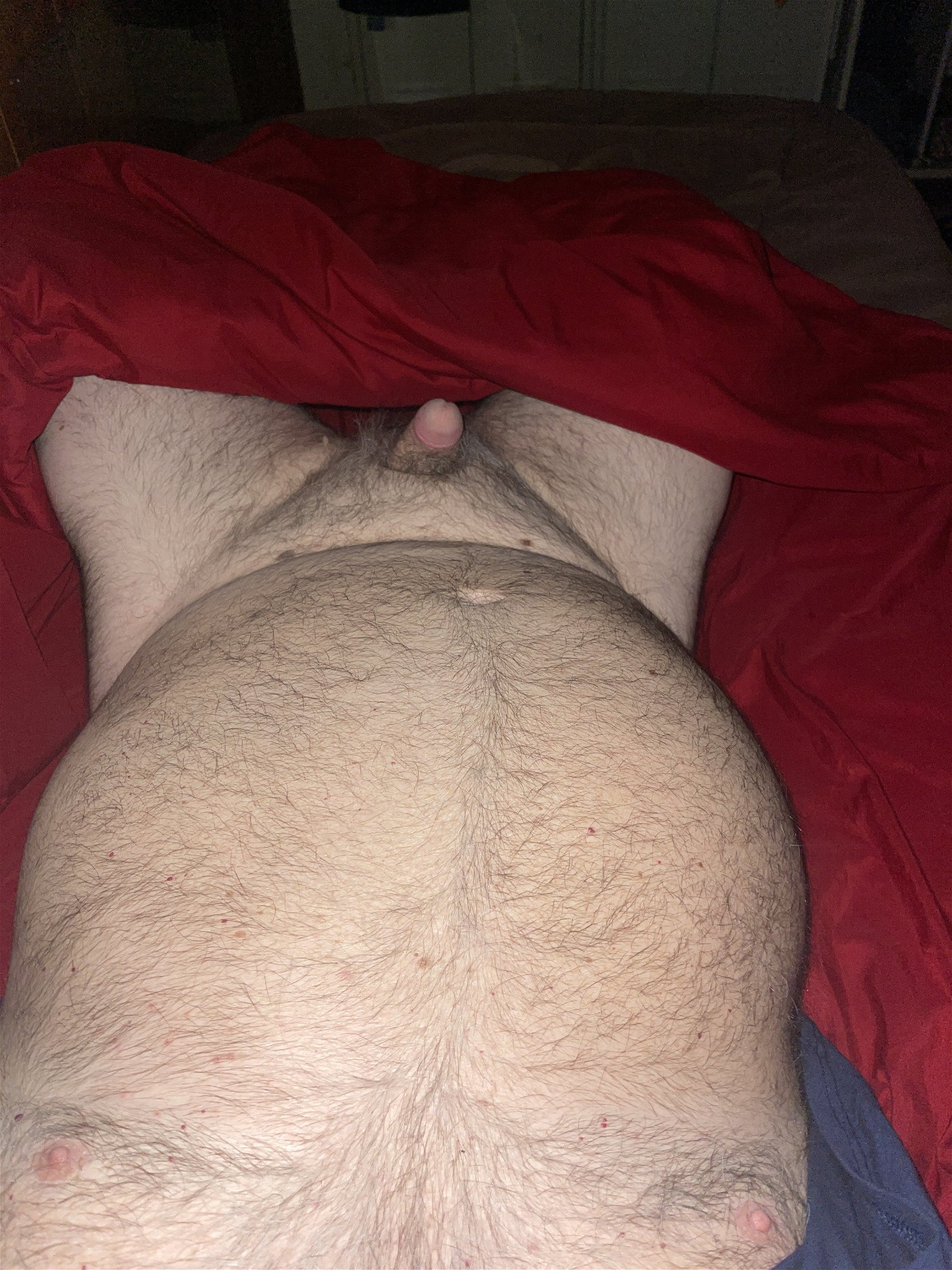 Photo by smallandhairy with the username @smallandhairy, posted on December 25, 2023. The post is about the topic Fat/Chubby gay bears
