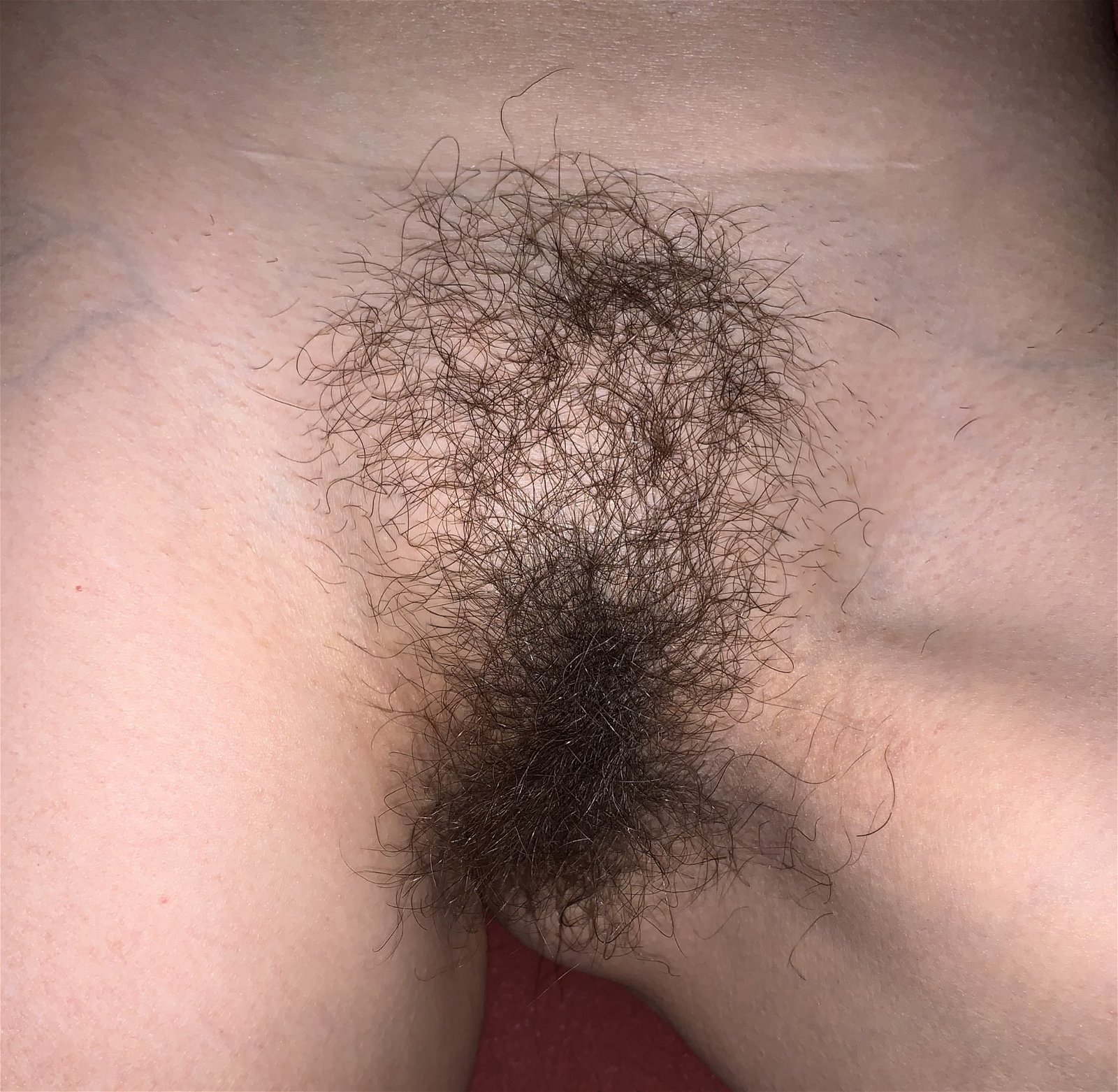 Photo by Sexylucif3r with the username @straightsoul07,  March 1, 2020 at 1:55 PM. The post is about the topic Pussy and the text says 'hairy pussy'