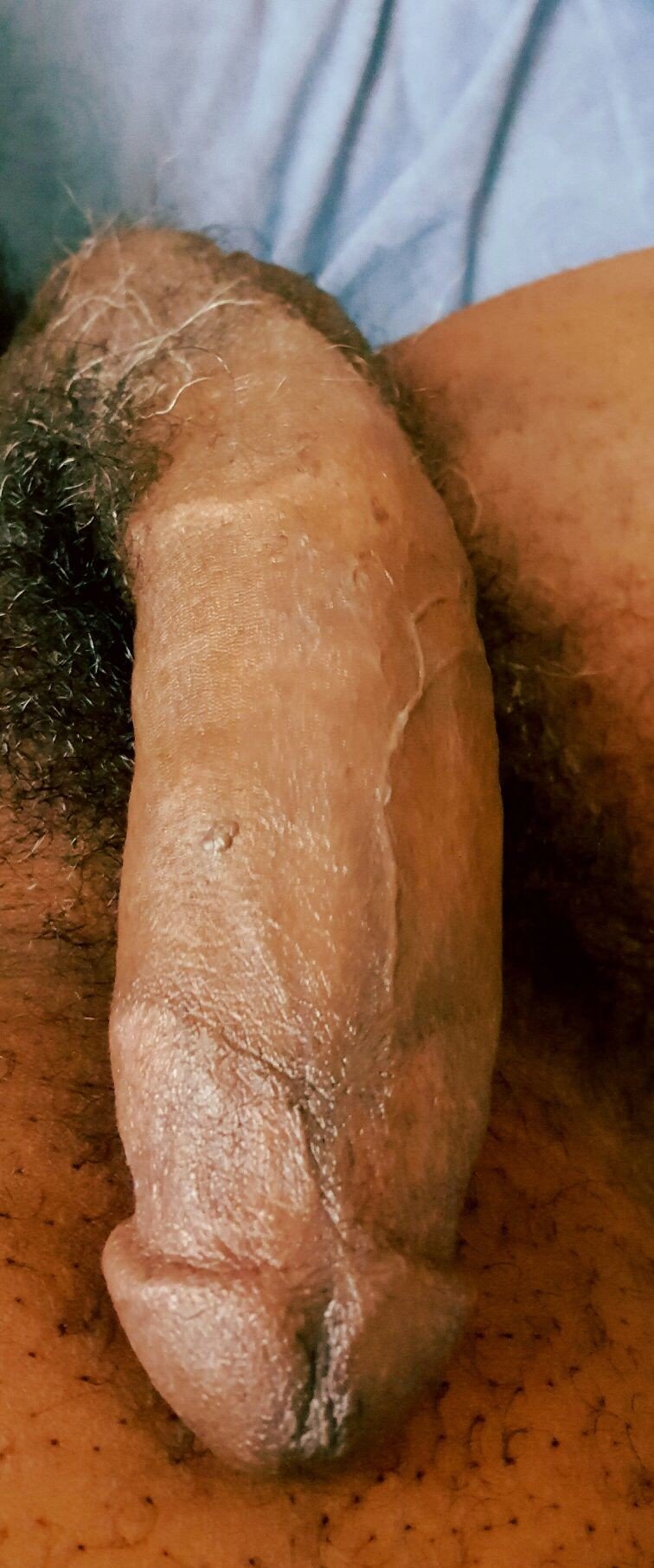 Photo by MrCaramelCock with the username @MrCaramelCock,  March 11, 2020 at 2:34 AM and the text says 'Yes ladies, your significant other Mr. Cuck will enjoy watching you get pounded by my MASSIVE BLACK COCK as you enter into sheer pleasure and delight from SUCKING and RIDING on this bad boy. GET ON IT!!!'