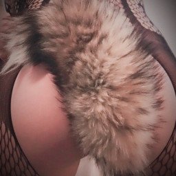 Watch the Photo by Kitten with the username @daddysirslittleslut, who is a verified user, posted on October 7, 2022. The post is about the topic Buttplugs. and the text says 'i get to wear my tail tonight. #daddysirslittleslut #tailplug #assplug'