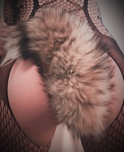Photo by Kitten with the username @daddysirslittleslut, who is a verified user,  October 7, 2022 at 1:54 AM. The post is about the topic Buttplugs and the text says 'i get to wear my tail tonight. #daddysirslittleslut #tailplug #assplug'