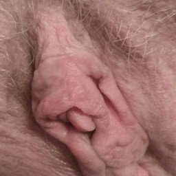 Watch the Photo by Mr. & Mrs. B with the username @Dickieboy07, who is a verified user, posted on May 13, 2021. The post is about the topic Labia - Beautiful large pussylips. and the text says 'Thank you for all the likes, comments and share we get, the more we get the more we'll post

#hotwife #hotgirl #milf #gilf #cougar #vixen #pussy'