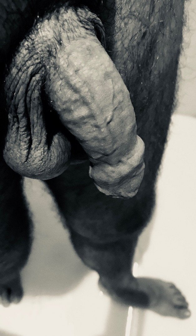 Photo by OzNudeUncut with the username @OzNudeUncut, who is a verified user,  August 13, 2022 at 11:14 AM. The post is about the topic Veiny Cock and the text says 'Run your tongue down it
#foreskin #uncut #cock'