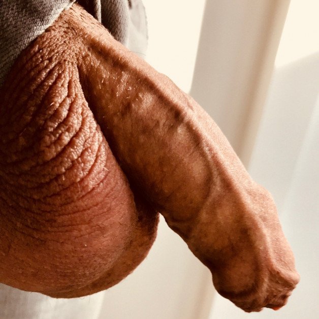 Photo by OzNudeUncut with the username @OzNudeUncut, who is a verified user,  August 31, 2022 at 2:21 AM. The post is about the topic Veiny Cock and the text says 'Run your tongue across my veins
#foreskin #uncut #veinycock'