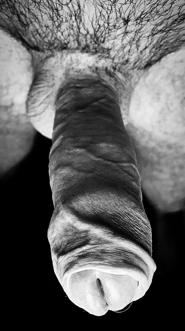 Photo by OzNudeUncut with the username @OzNudeUncut, who is a verified user,  December 9, 2018 at 10:52 PM. The post is about the topic Uncut cocks and the text says 'About to explode!
#intact #uncut #uncutcock #cock #hooded #veiny #noir'