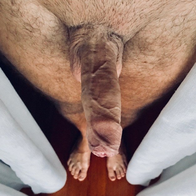 Photo by OzNudeUncut with the username @OzNudeUncut, who is a verified user,  July 3, 2022 at 10:28 PM. The post is about the topic Veiny Cock and the text says 'Something tasty is waiting for you. Simply unwrap and enjoy.
#uncut #foreskin #veinycock'