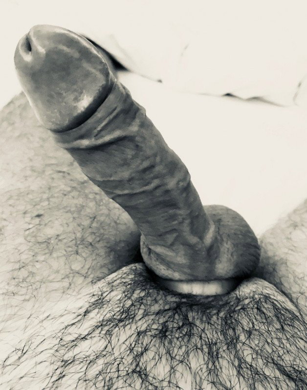 Photo by OzNudeUncut with the username @OzNudeUncut, who is a verified user,  August 31, 2022 at 2:53 AM. The post is about the topic Veiny Cock and the text says 'R O C K   H A R D
#stiff #uncut #veiny'