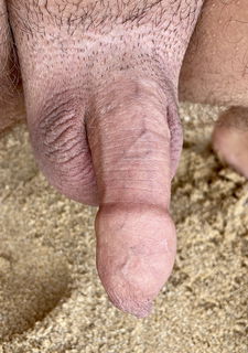 Photo by OzNudeUncut with the username @OzNudeUncut, who is a verified user,  June 13, 2022 at 9:31 PM. The post is about the topic Gay nude beach and the text says 'I am certainly a grower! It was a cool start to my day at the nude beach.
#softcock #foreskin #gaynudebeach #nudebeach'