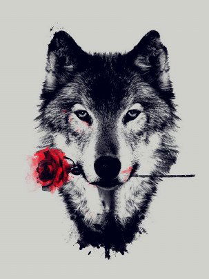 WolfwithRedRoses