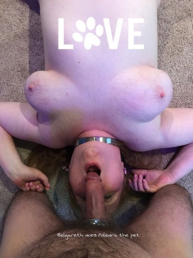 Photo by masterspleasureslave with the username @masterspleasureslave, who is a star user,  December 8, 2018 at 8:02 AM and the text says 'His submissive little puppy. I love my Alpha'