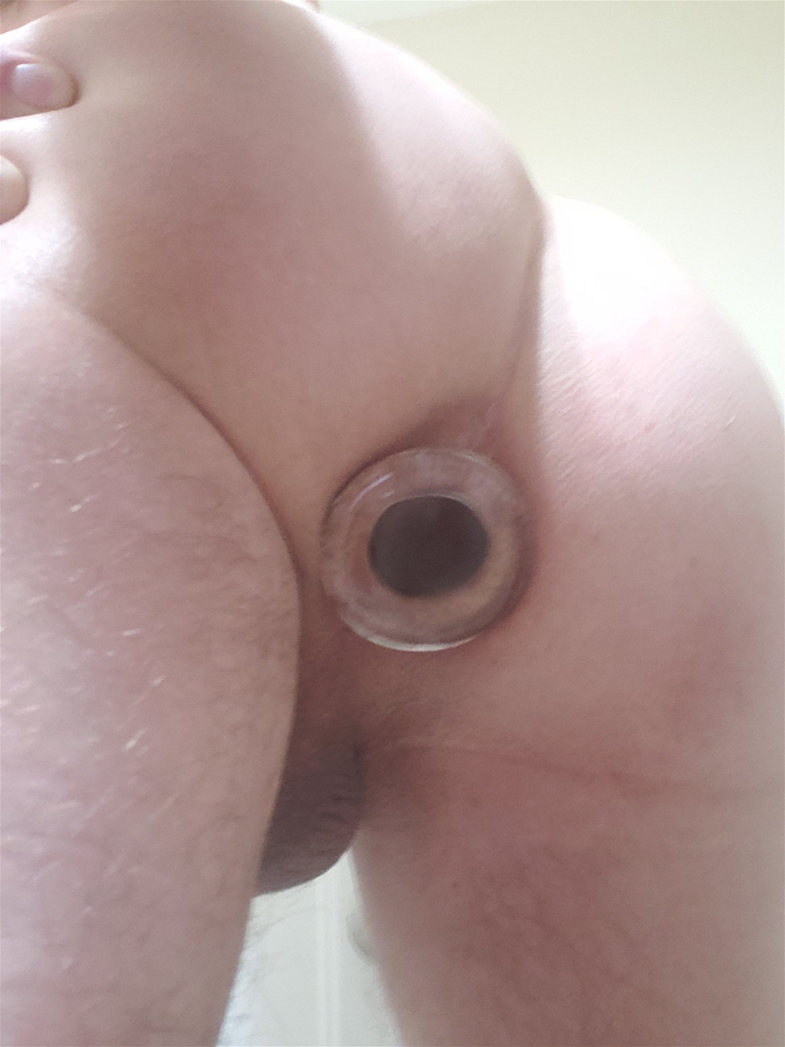 Photo by Wiseguy with the username @Wiseguy, who is a verified user,  May 29, 2020 at 7:18 PM. The post is about the topic Butt Plug and the text says 'I'm going to wear this plug around the house for a couple hours to get ready for todays session'