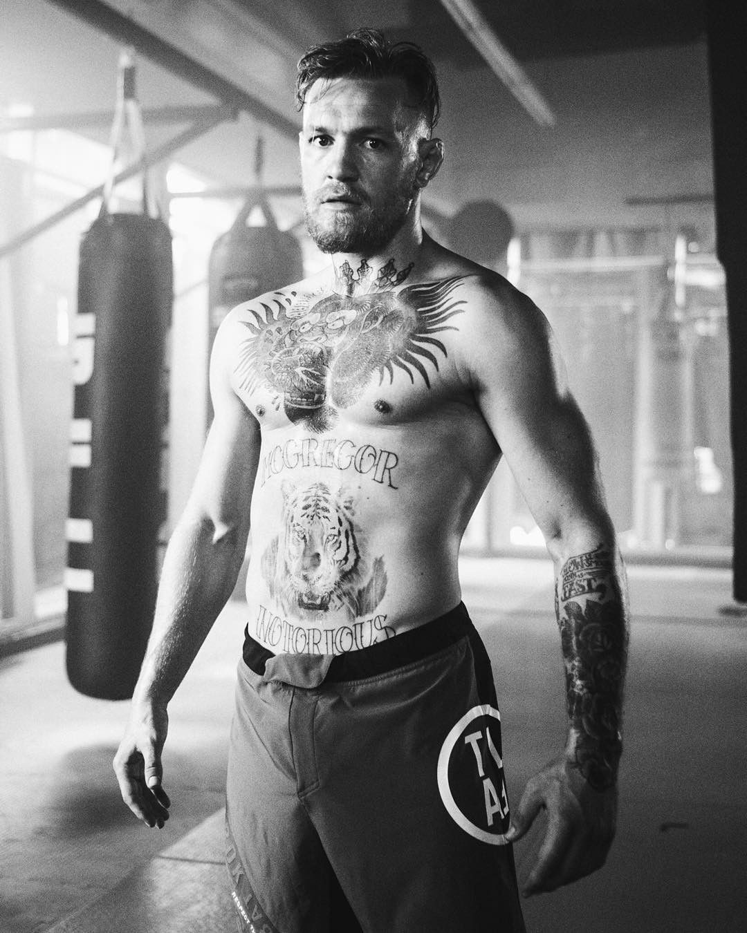 Photo by Bugger099 with the username @Bugger099,  January 9, 2016 at 10:02 AM and the text says '#hot  #guy  #irish  #ufc  #tattoos'