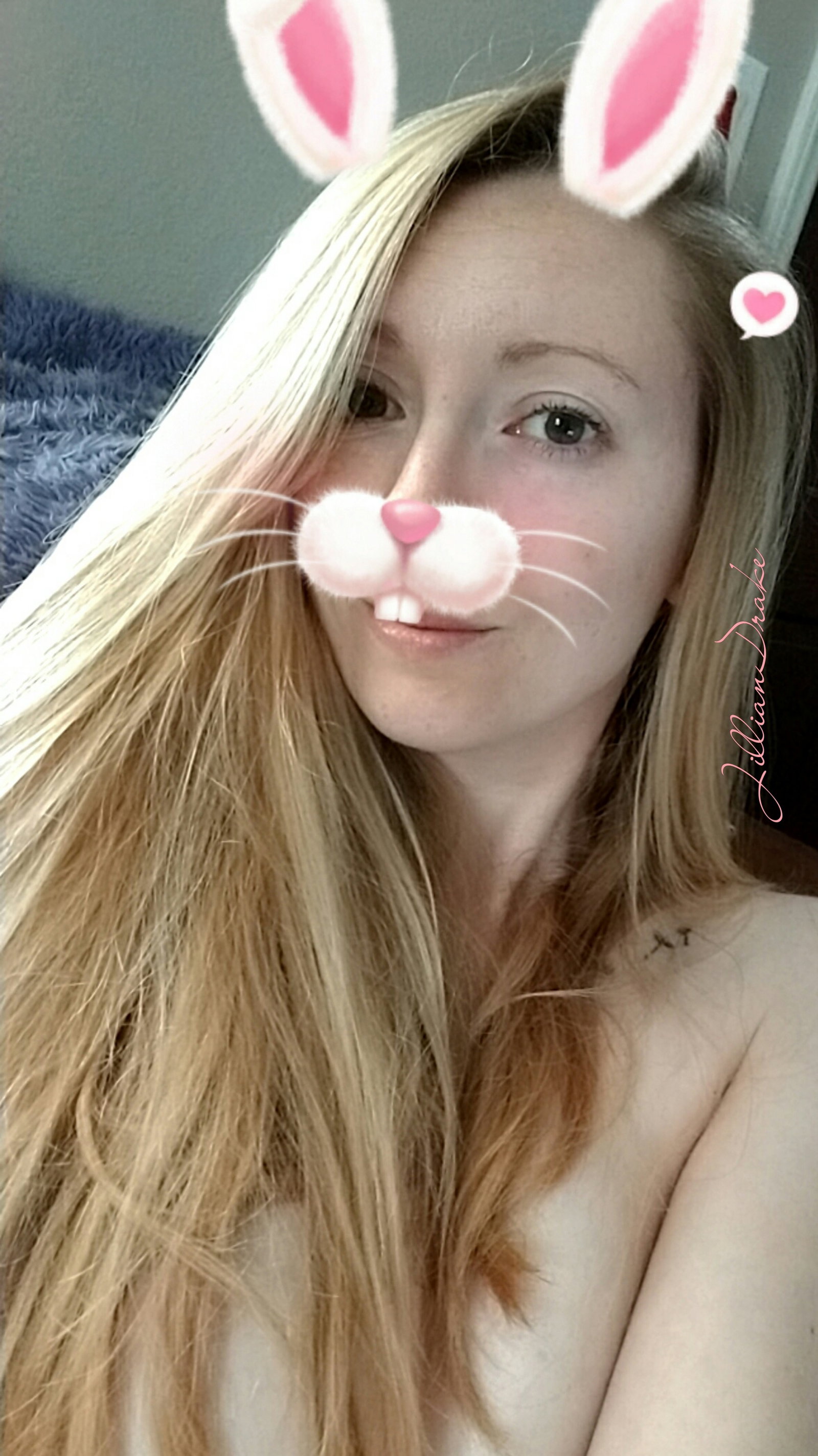 Photo by Jillian Drake with the username @JillianDrake, who is a star user,  April 11, 2019 at 3:57 PM and the text says 'You can find me on http://amateurporn.com/Jillian too! 🐰'