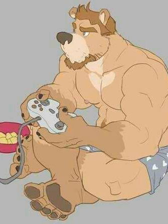 bearmuscle