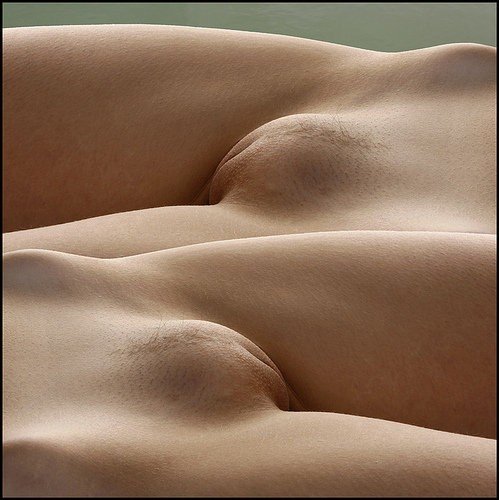 Photo by nudes-des-artiste with the username @nudes-des-artiste,  April 11, 2020 at 8:52 PM. The post is about the topic Art in porn and the text says 'The Hills and Valleys of Paradise.

#lesbian #artistic #shaved'
