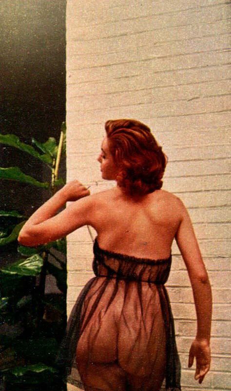 Photo by nudes-des-artiste with the username @nudes-des-artiste,  September 2, 2019 at 10:24 PM. The post is about the topic Nude Celebrity and the text says 'Amazing Curves
Colleen Farrington - Diane Lane’s mother
Miss October 1957

#colleenfarrington #celebrity #greatass #lingerie #seethrough #pmom #playboy'
