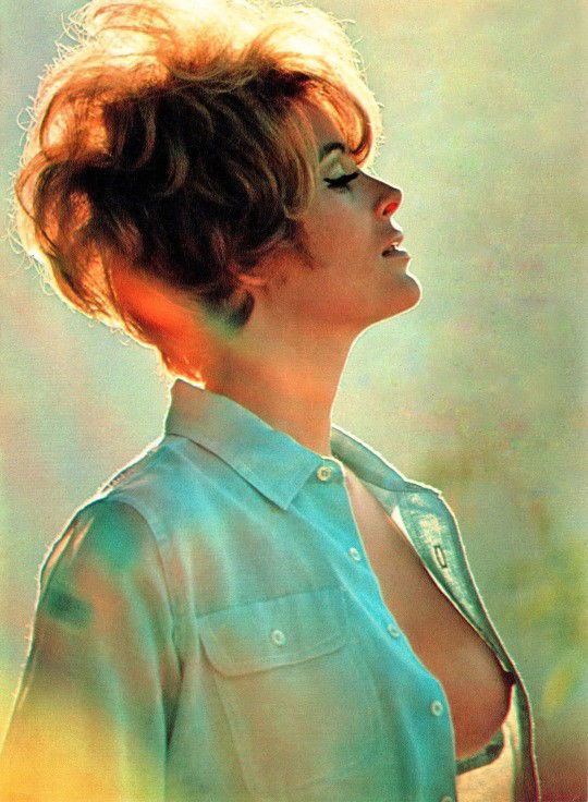 Photo by nudes-des-artiste with the username @nudes-des-artiste,  March 16, 2020 at 12:51 PM. The post is about the topic Side-boob & downblouse and the text says 'Jill St. John showing some very nice sideboob and one of her erect nipples in an artistically lit shot.

#JillStJohn #celebrity #redhead #nicetits #vintage #downblouse'