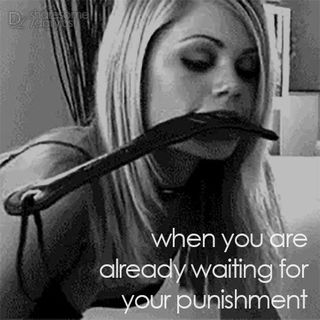 Photo by dailylust with the username @dailylust,  August 25, 2023 at 12:24 PM. The post is about the topic Daily Lust and the text says '#waitingforpunishment #submission #paddle #spanking #punishme #spankme #dailylust'